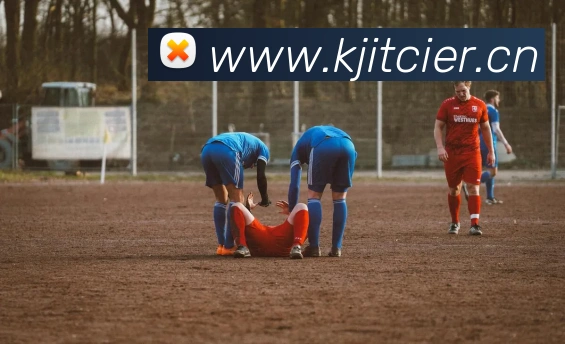 多媒体互动体验